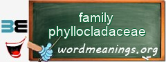 WordMeaning blackboard for family phyllocladaceae